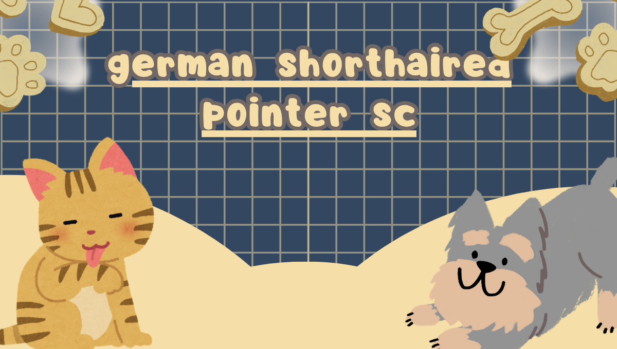 German Shorthaired Pointer SC: A Loyal Companion for Active Lifestyles in South Carolina