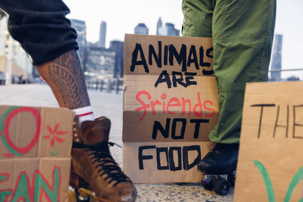 Veganovies.com: Your Ultimate Guide to Vegan Movies and Documentaries